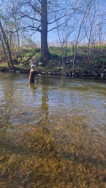 Stage de pêche adulte_pêche à la mouche