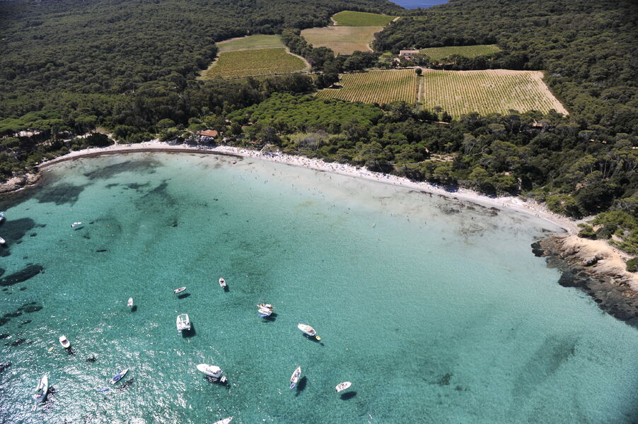 La plage d'argent - île de Porquerolles