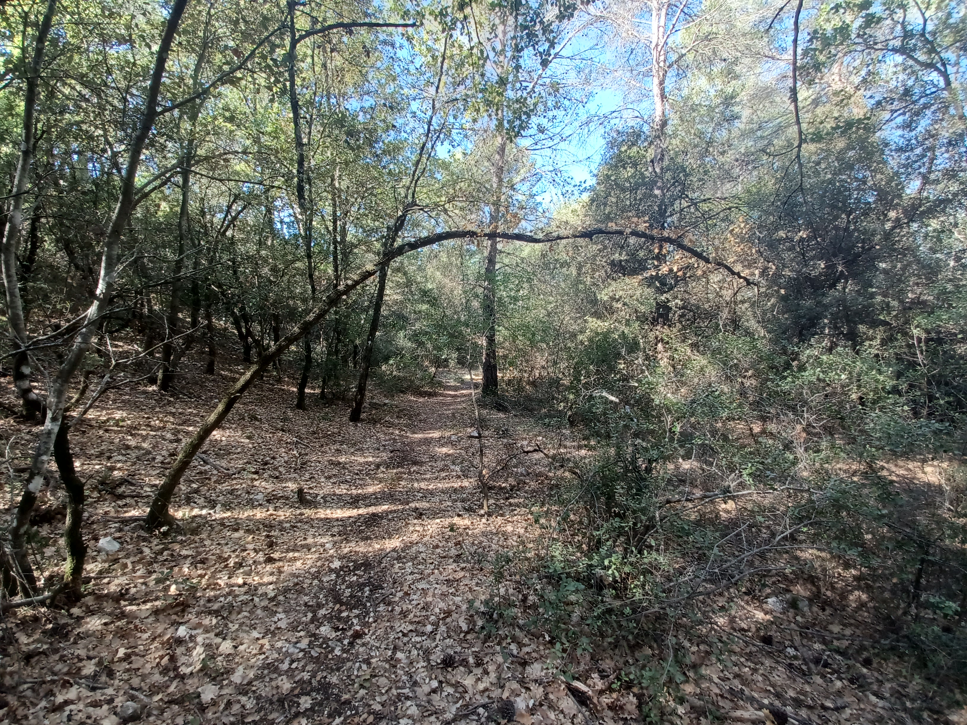 Les sentiers cachés