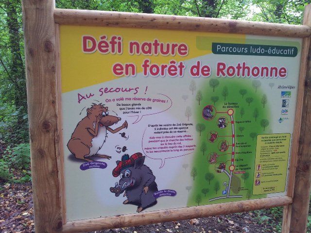 Circuits de randonnée de la forêt de Rothonne