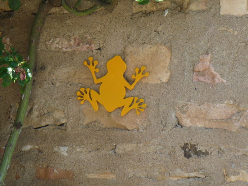 Cherchez les Grenouilles