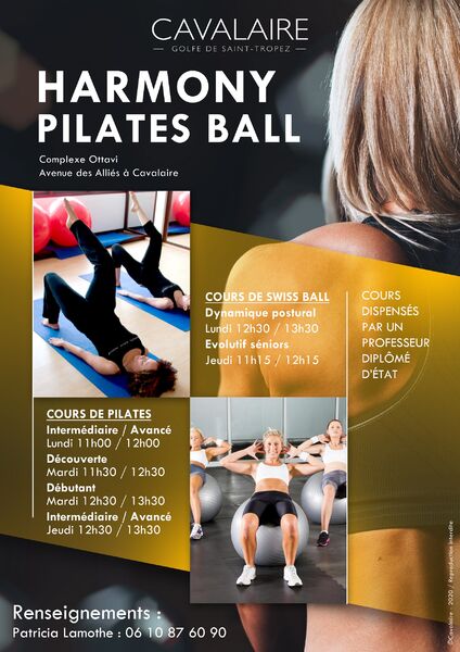 Harmony Pilates Ball