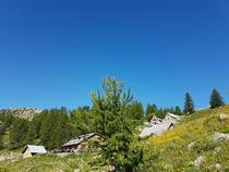 Vue du refuge-restaurant, maison en bois au milieu de la végétation, terrasse, tables et chaises
