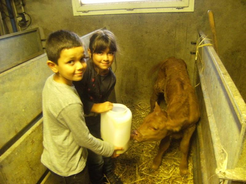 Gîte à la Ferme \