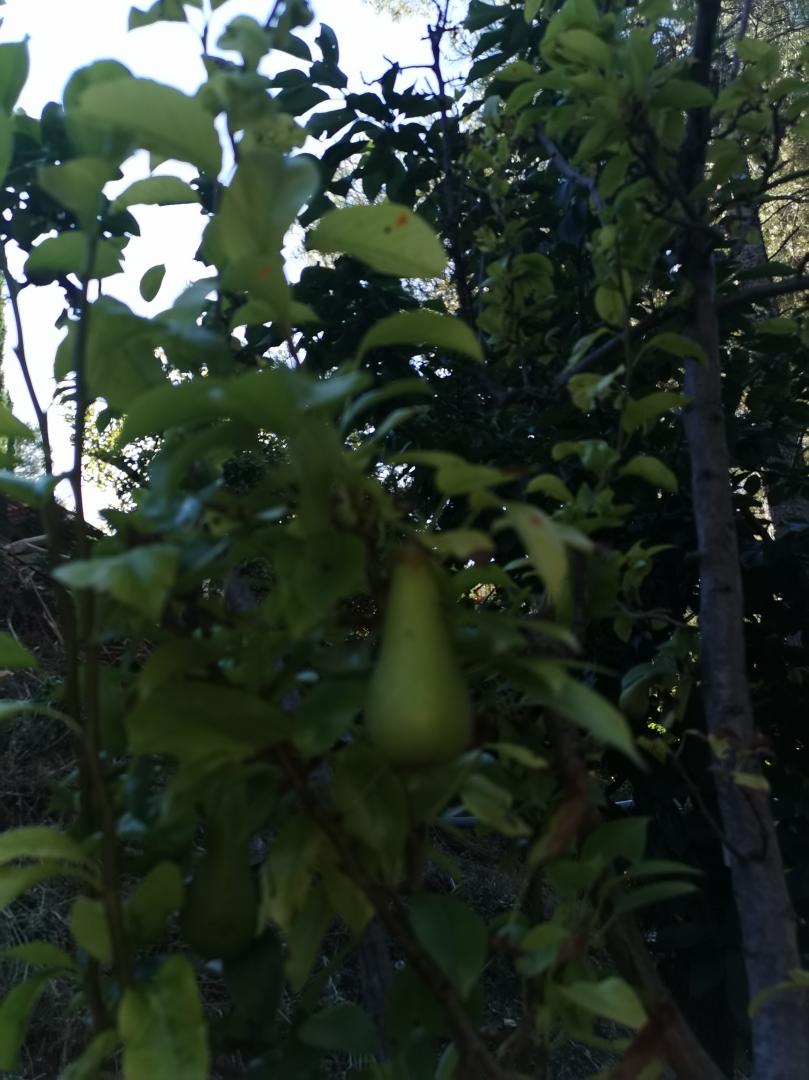 Villa Romarin, La Destrousse - photo 9