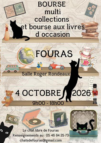 Bourse multi-collections et bourse aux livres d'occasion