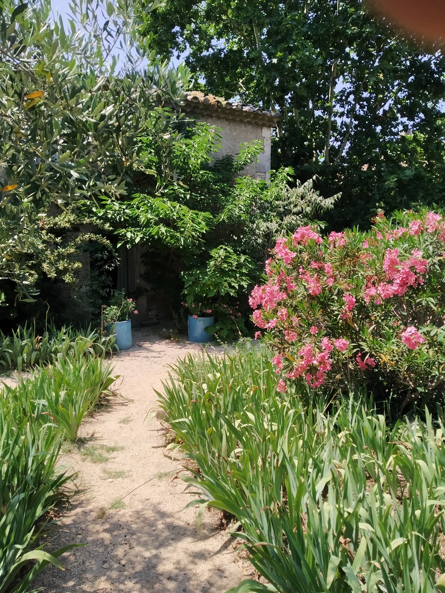 Mas des 3 Cyprès - photo 3