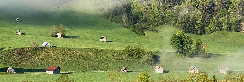 Tour des Bauges en liberté avec Terres d'altitude