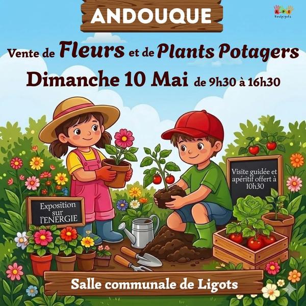 Vente de fleurs et de plants de potagers