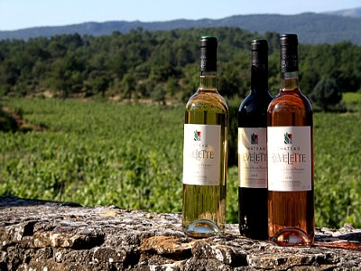 Château Revelette - photo 3