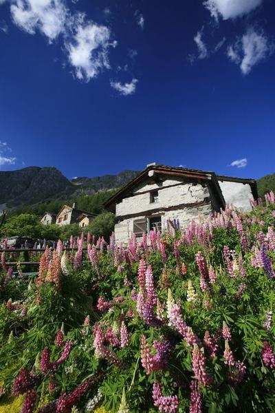 modane-vallon-polset
