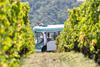 Côte-Rôtie Tour
