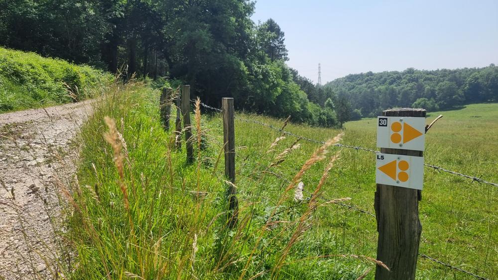 Liaison VTT (L4) Simandre sur Suran - Cize (Suran-Ain)