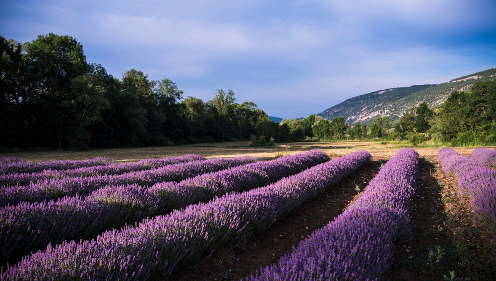 Bastide des bourguets