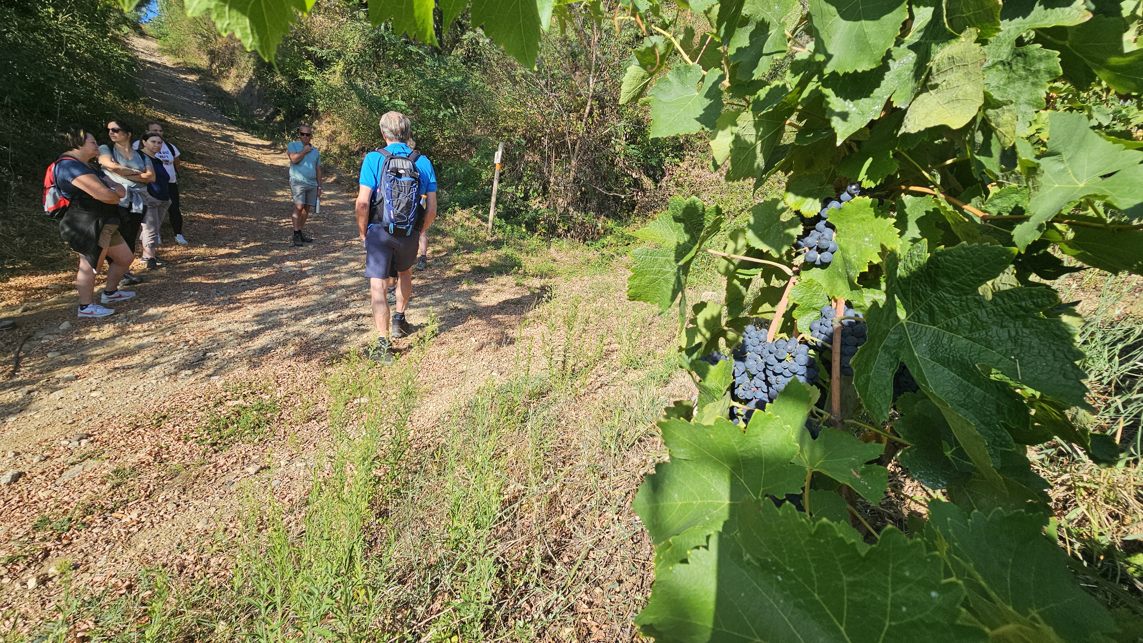 Rando Wine à la Cave Saint-Désirat_Saint-Désirat