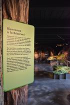 Muséogragphie Maison naturelle de la réserve
