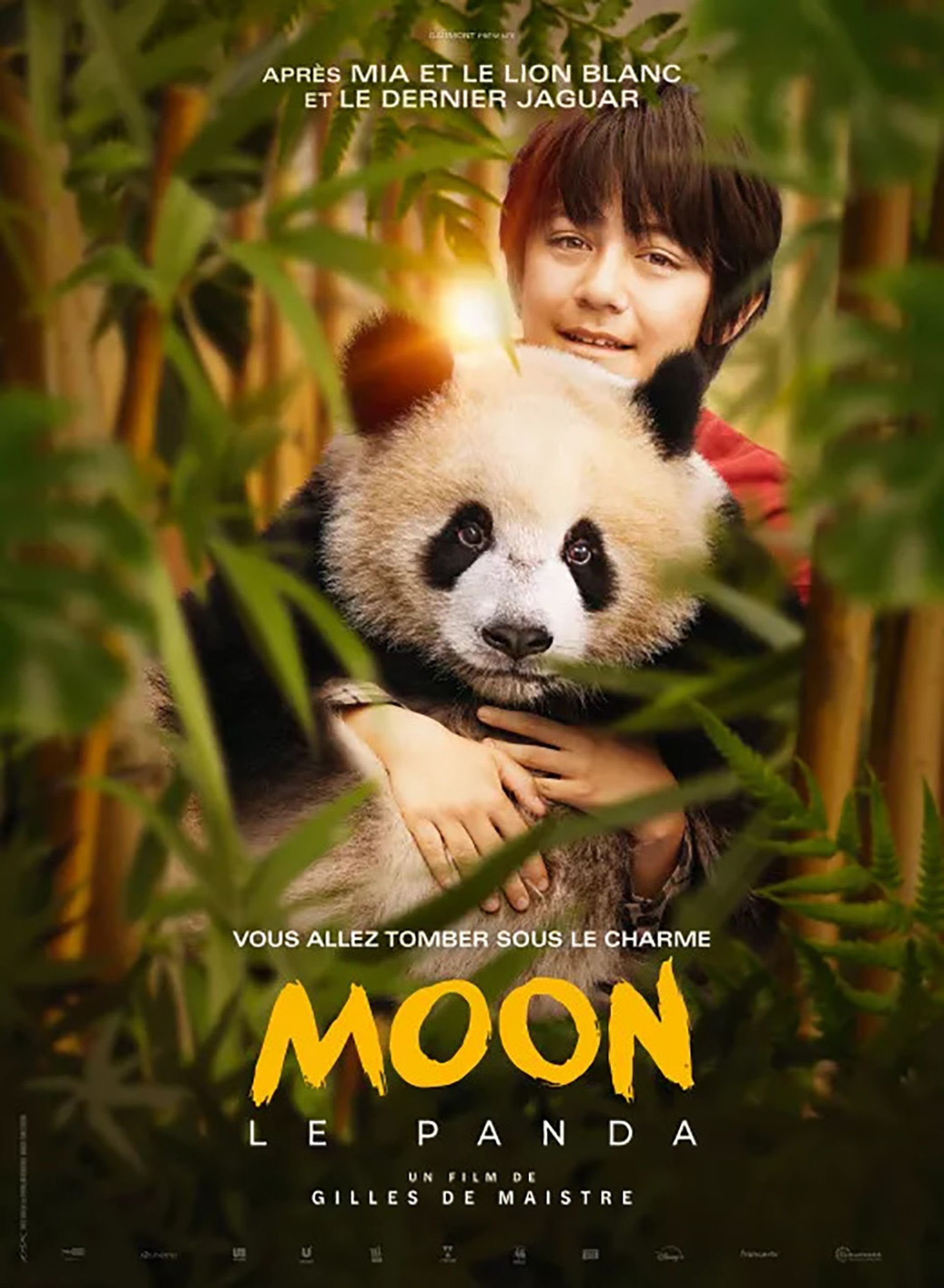 Moon le panda à la Bambouseraie en Cévennes
