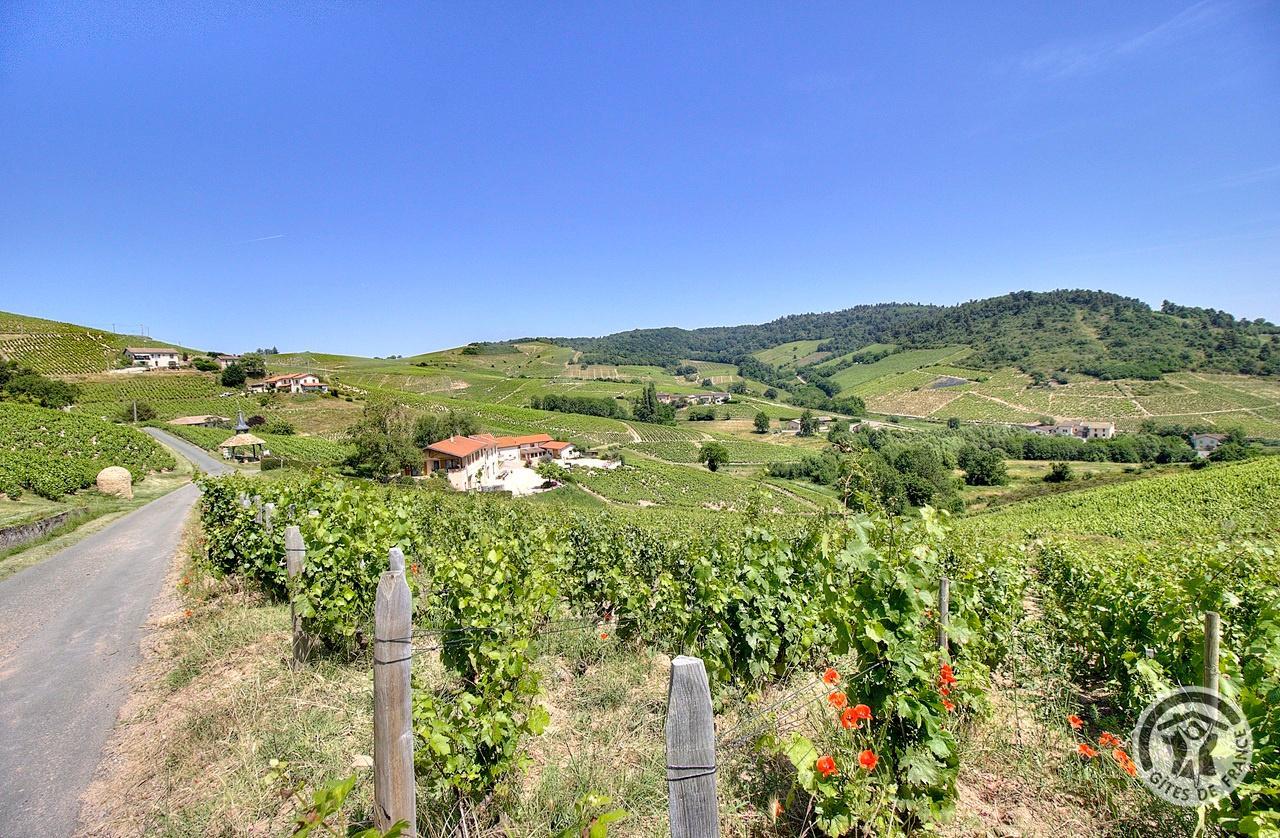 Grand Gîte - 12 personnes -