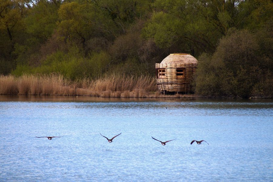 L'observatoire ornithologique des étangs de Saclay 