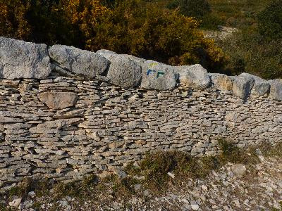 Sentier botanique dans les collines de la Fare-les-Oliviers, La Fare-les-Oliviers - photo 3