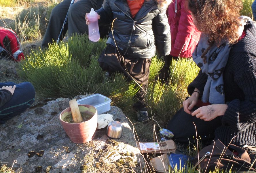 Plantes et potions diaboliquement sauvages et parfumées