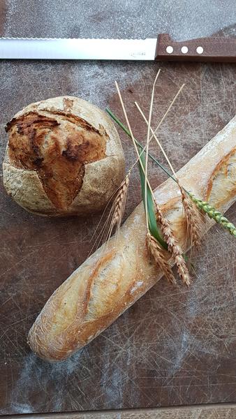 Le Rocher et la Flute de Tradition