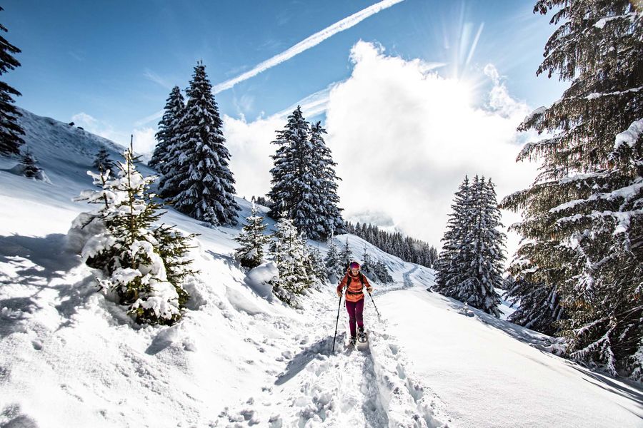 Snowshoe trail –  Boucle des Blattes