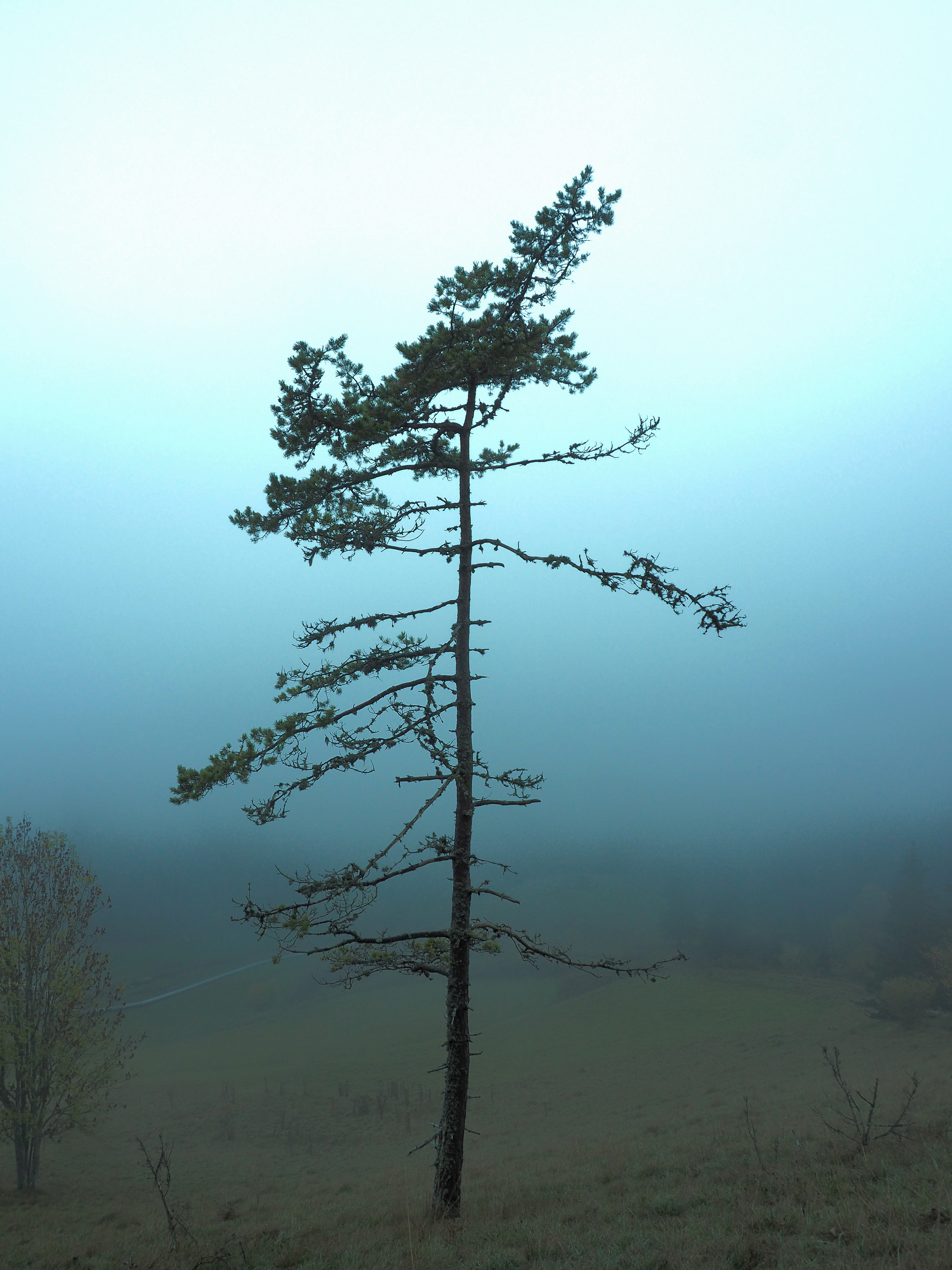 Exposition - Partir d'une page branche, de BokkaJ_Corrençon-en-Vercors