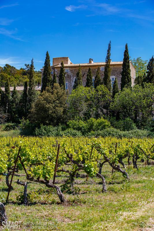 Château du Petit Sonnailler, Aurons - photo 21