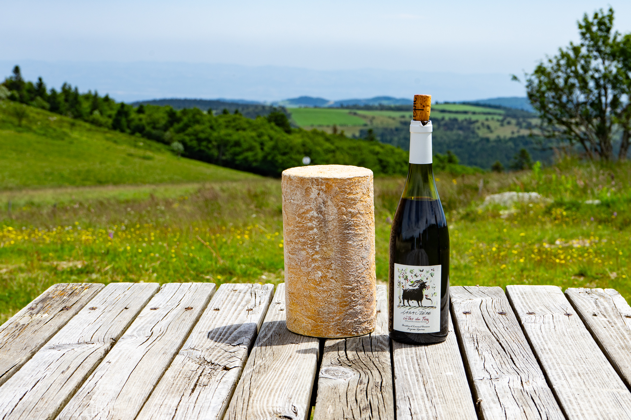 Fourme de Montbrison et Côtes du Forez