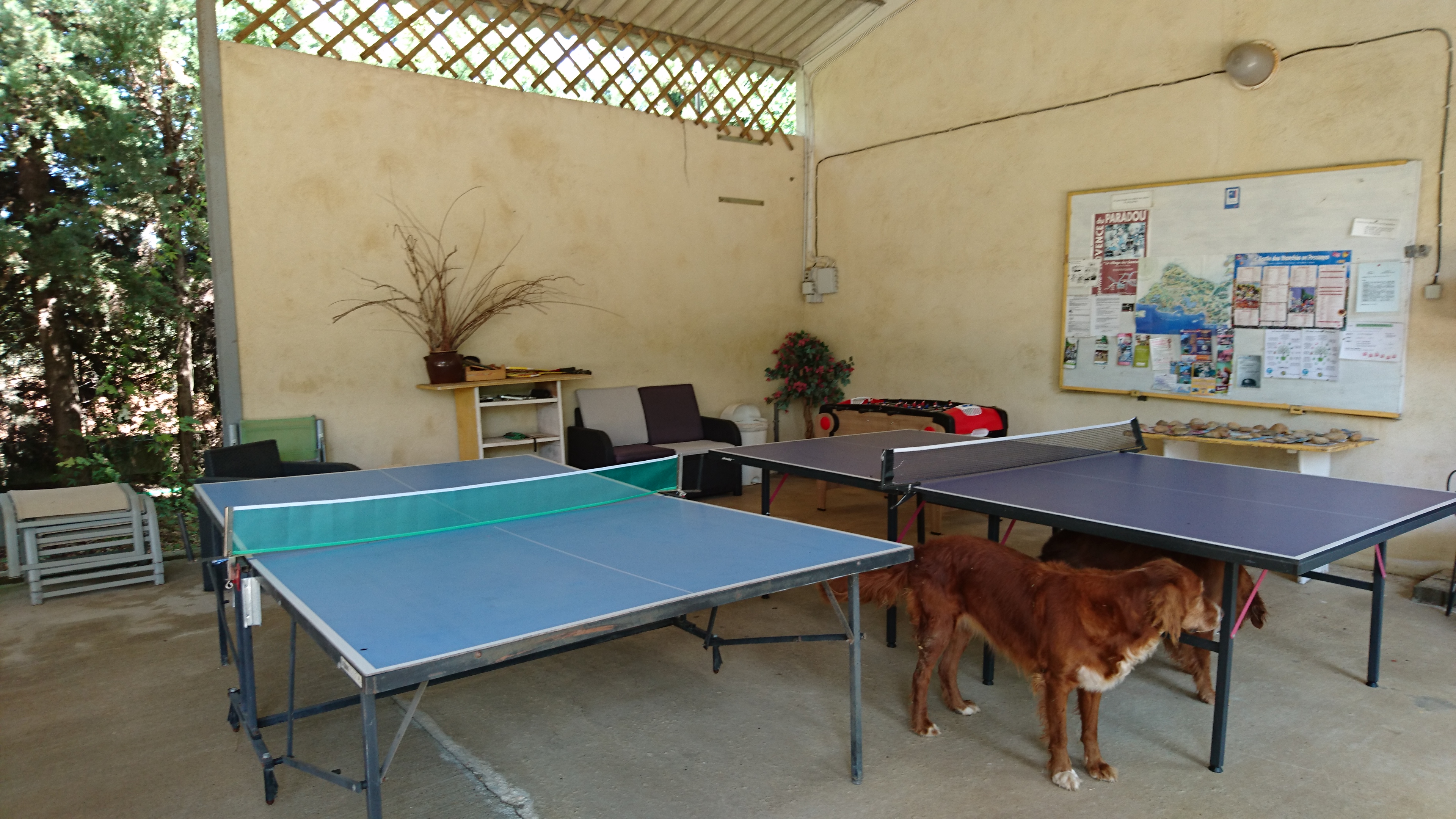 d8889cdefb80a9bc95af