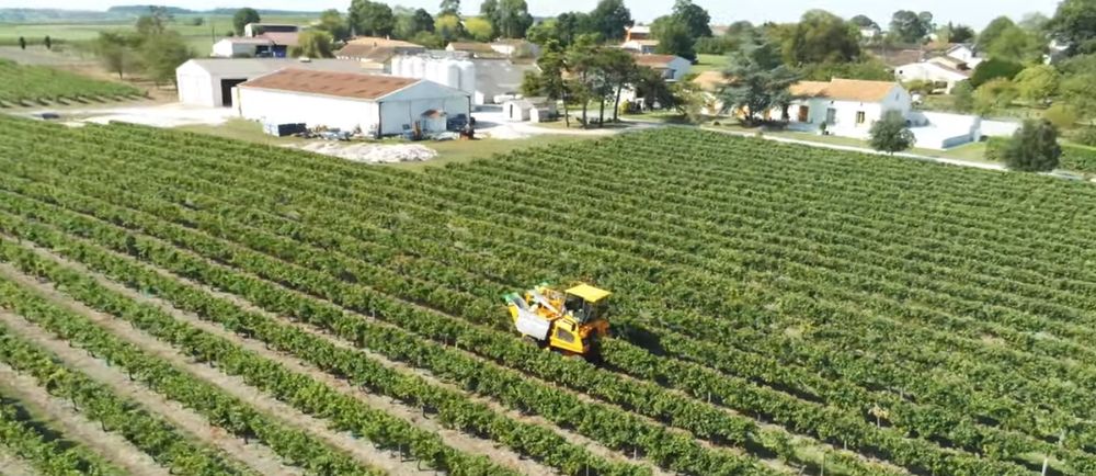 Domaine Lisca Begay - Pineau Cognac