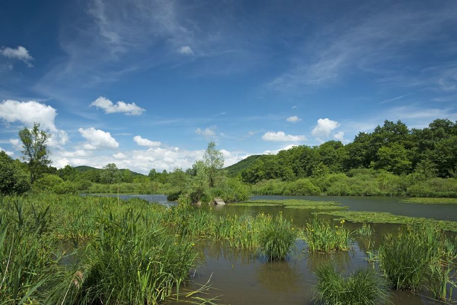 ENS Etang de Marsa et pelouse sèche