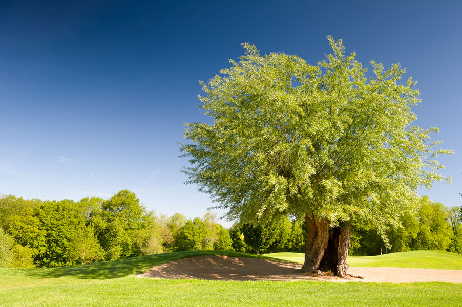 Hotel de la Sorelle - Villette sur Ain