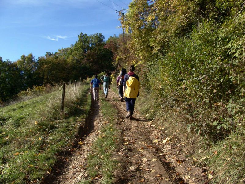 randonneepedestre_foretcorsuet_aixlesbains