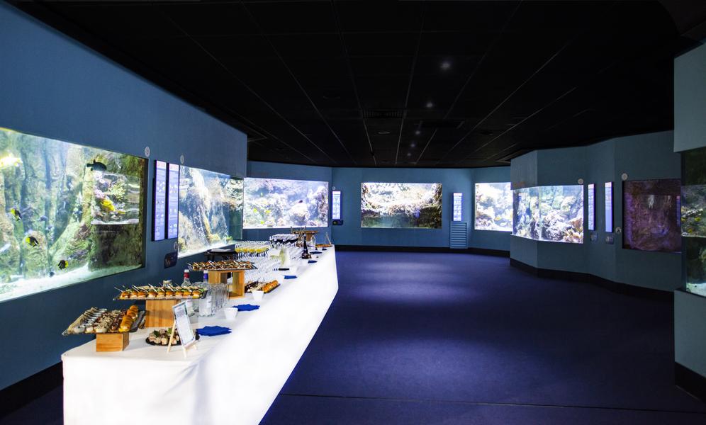 Aquarium La Rochelle SAS copyright