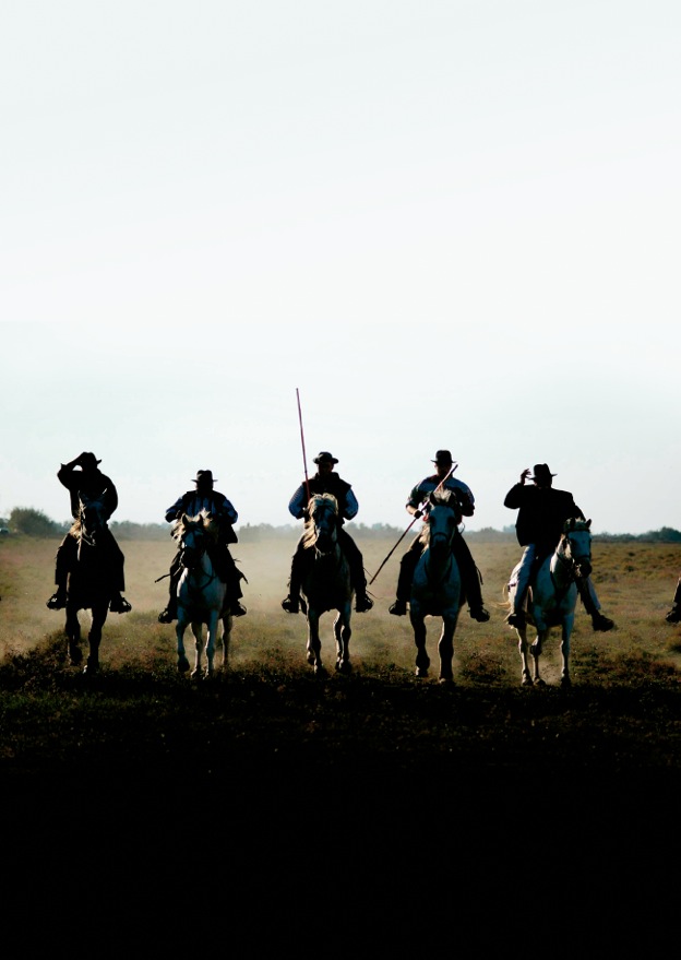 Cavaliers Manade Jacques Bon