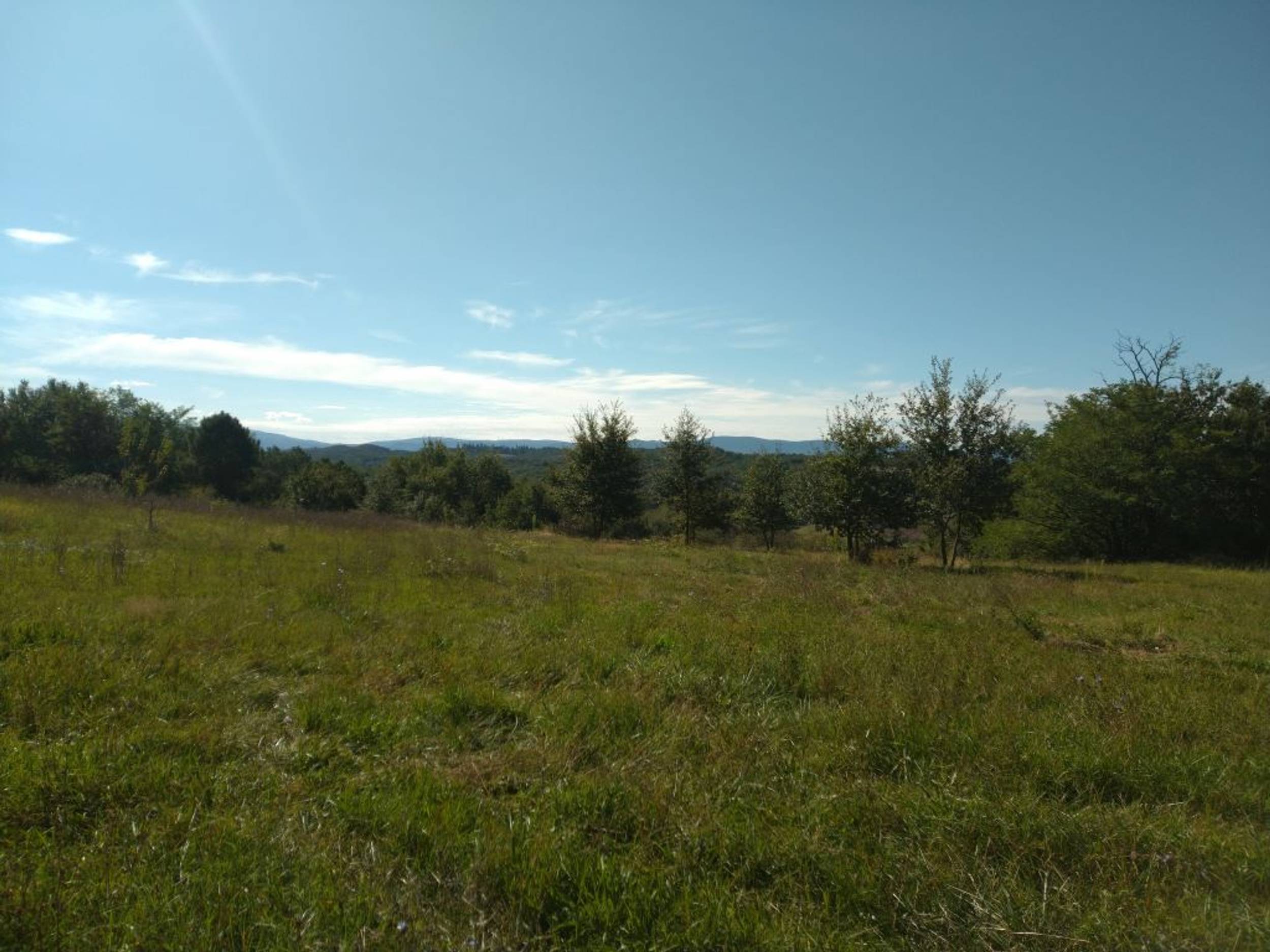 vue-le-chemin-de-la-parulle-fo3hkj10btzm