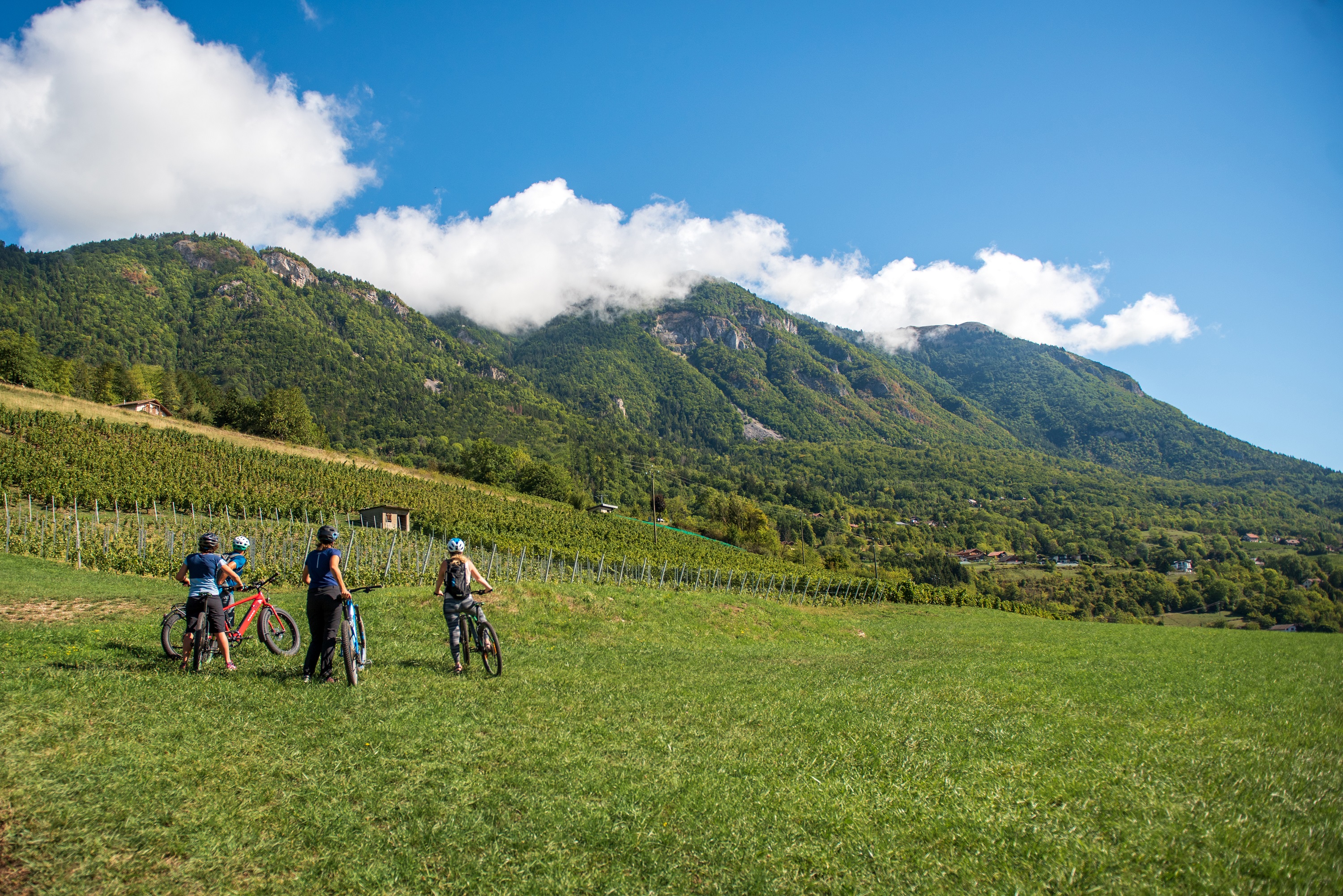 Vélo-Vignes : Le pétillant