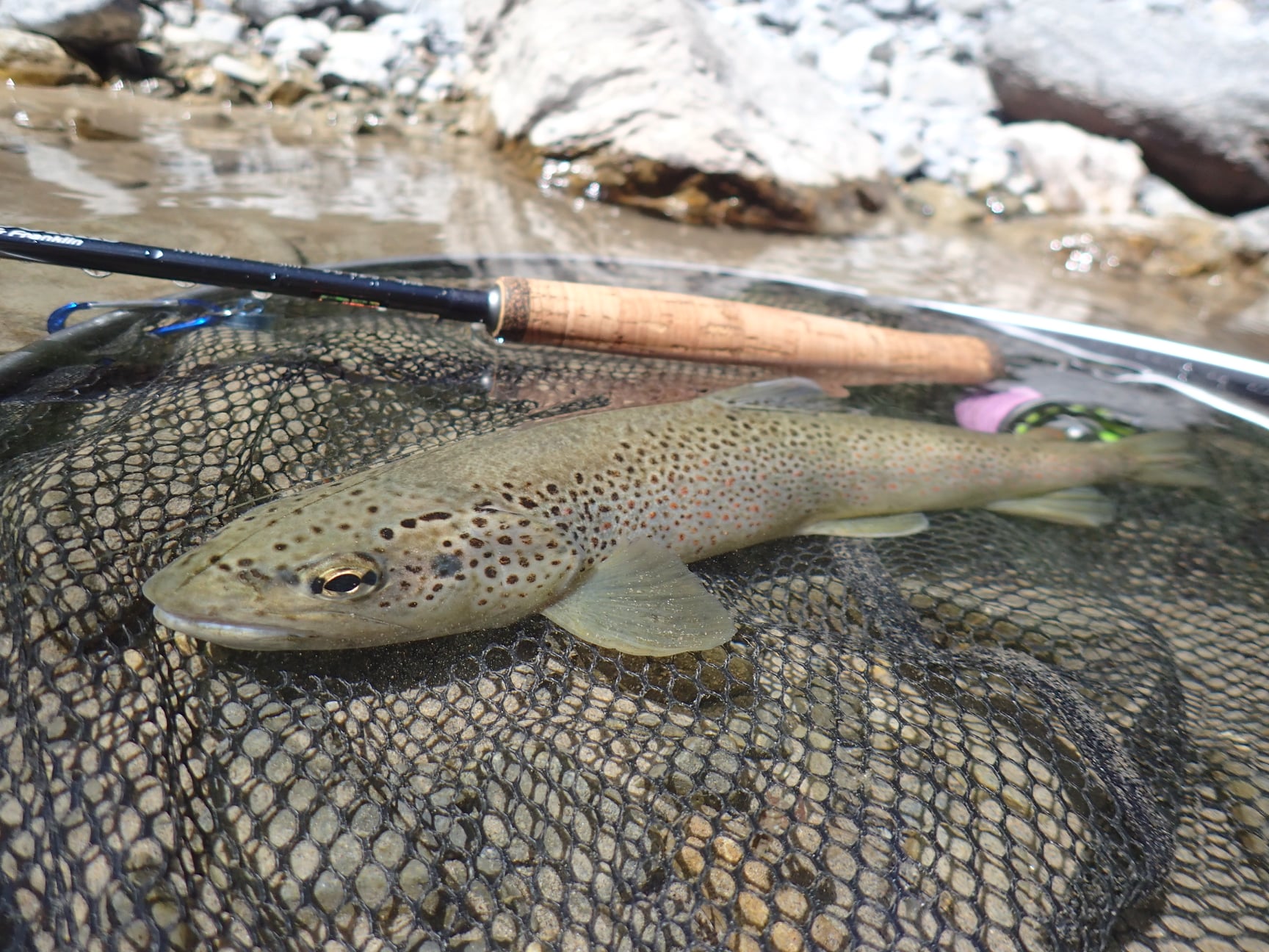 Quentin groetzinger Moniteur Guide de pêche