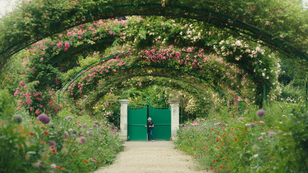 Monet et les Nymphéas