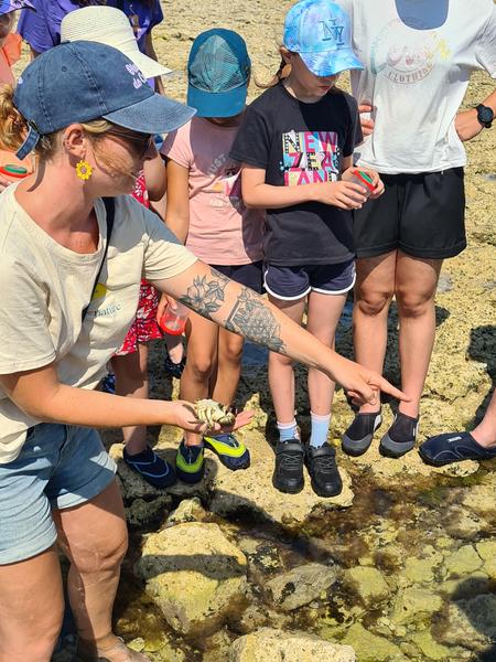 Pêche à pied d'exploration