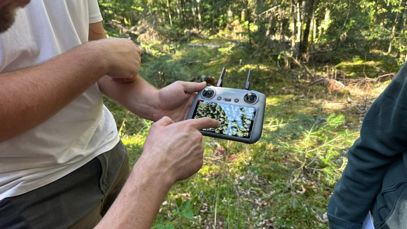 Comment estime-t-on sur le terrain la valeur d’une forêt ?
