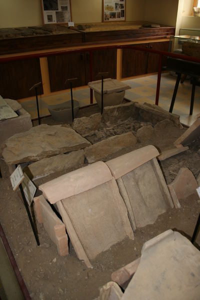 Musée de pays - Archéologie et Paléontologie - Valréas