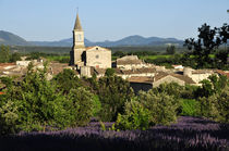 Vue générale - Taulignan