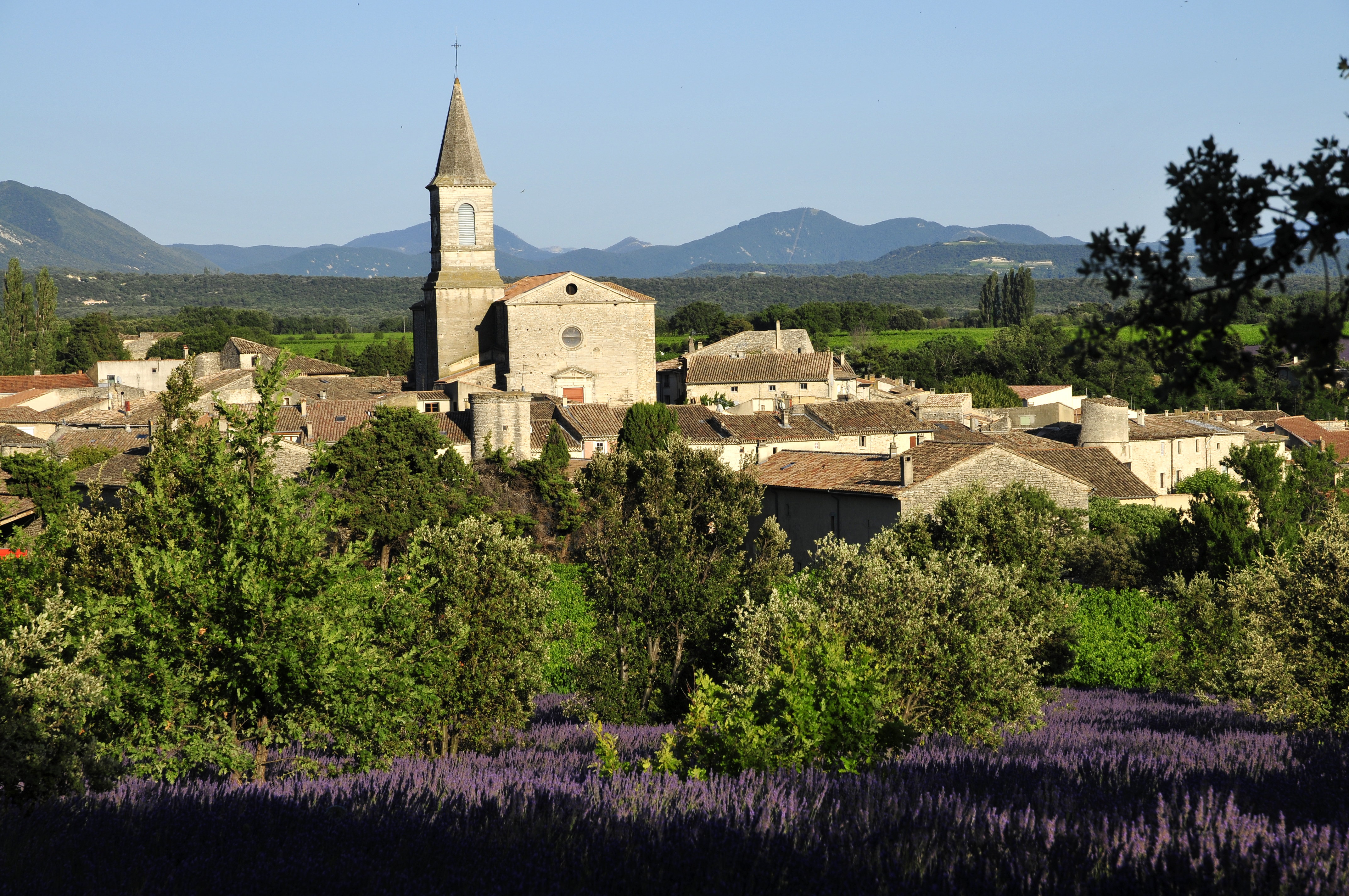Vue générale - Taulignan