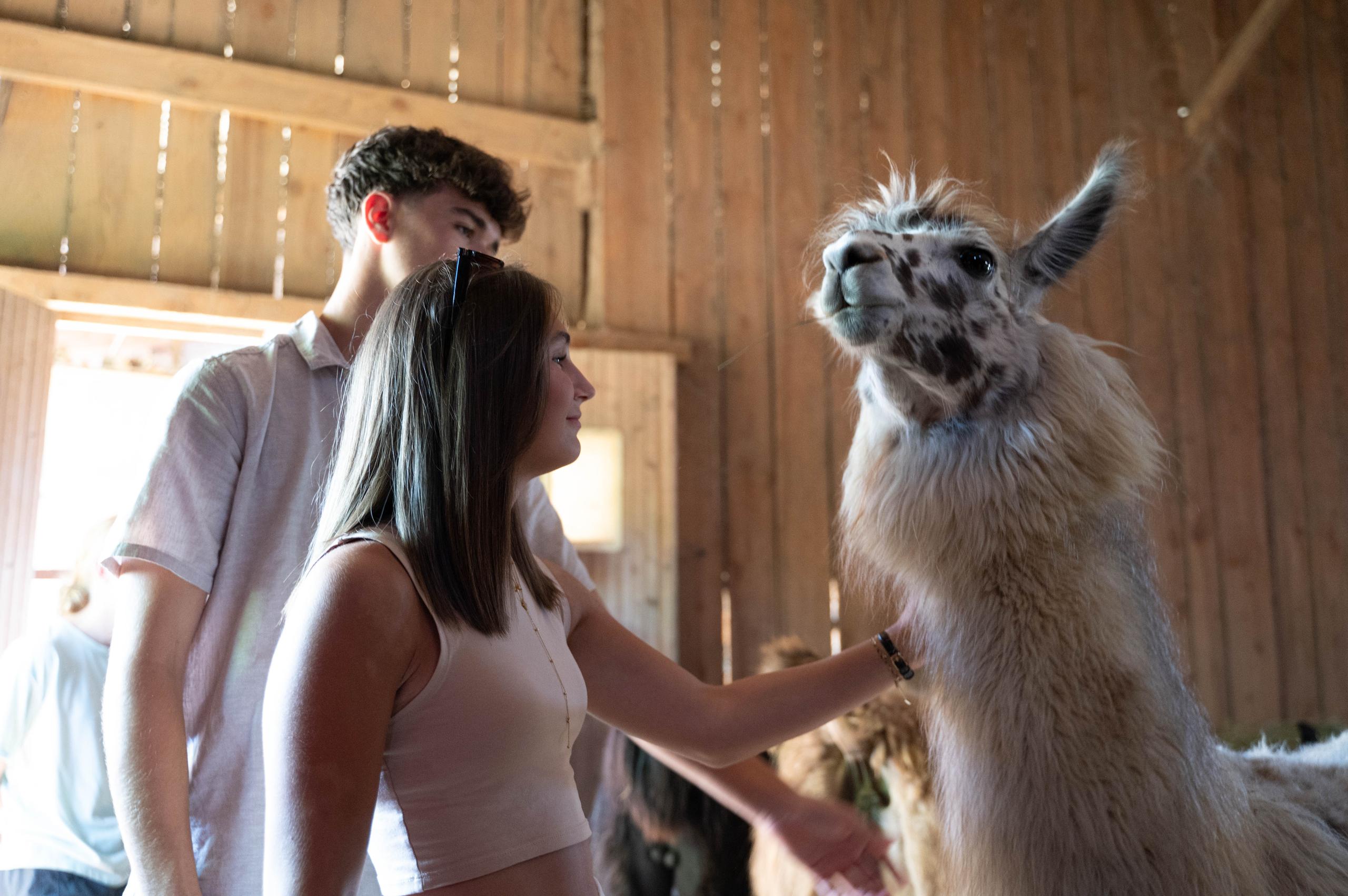 Photo montrant un jeune couple avec un des Lamas des plaines