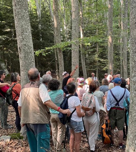 Lectures sous l'arbre - balade lecture avec Olivier Abel_Araules
