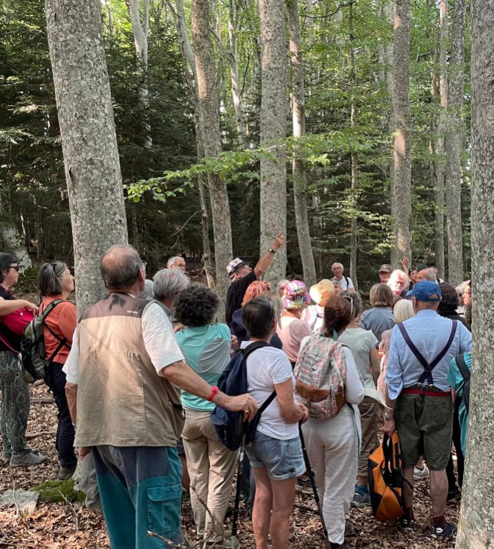 Lectures sous l'arbre