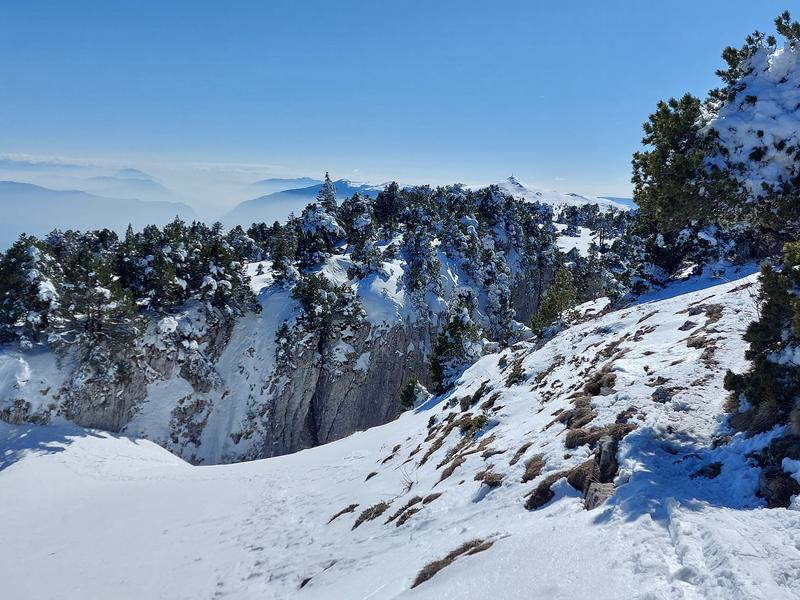 Sentier raquettes de Lélex au Crêt de la Neige_Lélex
